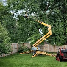 Best Seasonal Cleanup (Spring/Fall)  in Clifton, TN